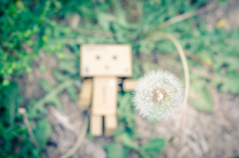 阿楞纸箱人图片大全