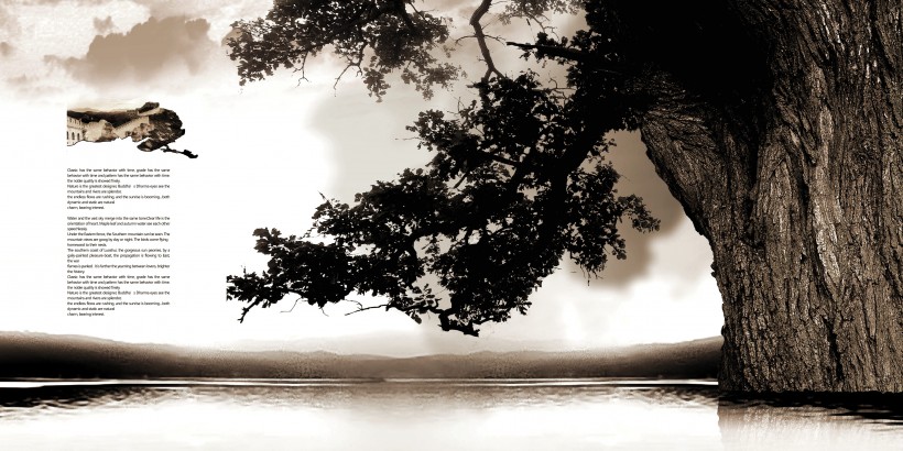 沉稳企业画册图片