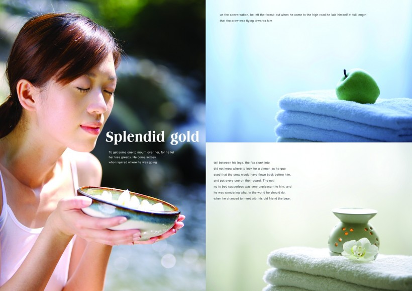 养生SPA海报图片