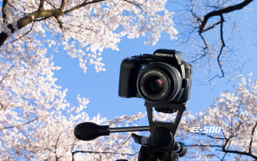 单反 奥林巴斯相机图片