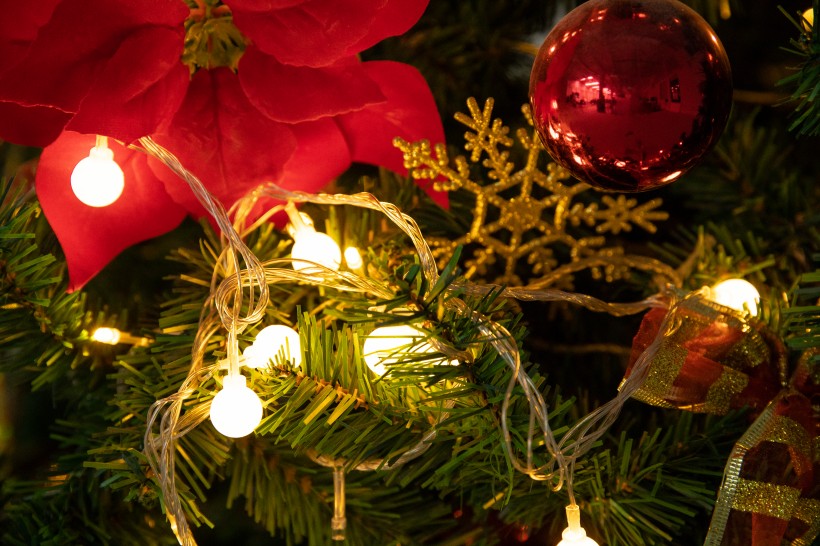 圣诞节布置的圣诞树图片