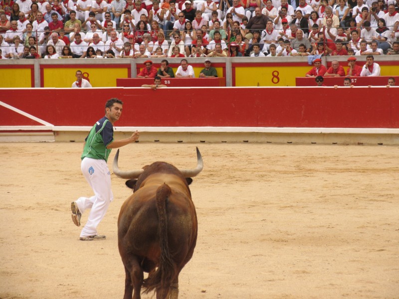 西班牙斗牛图片大全