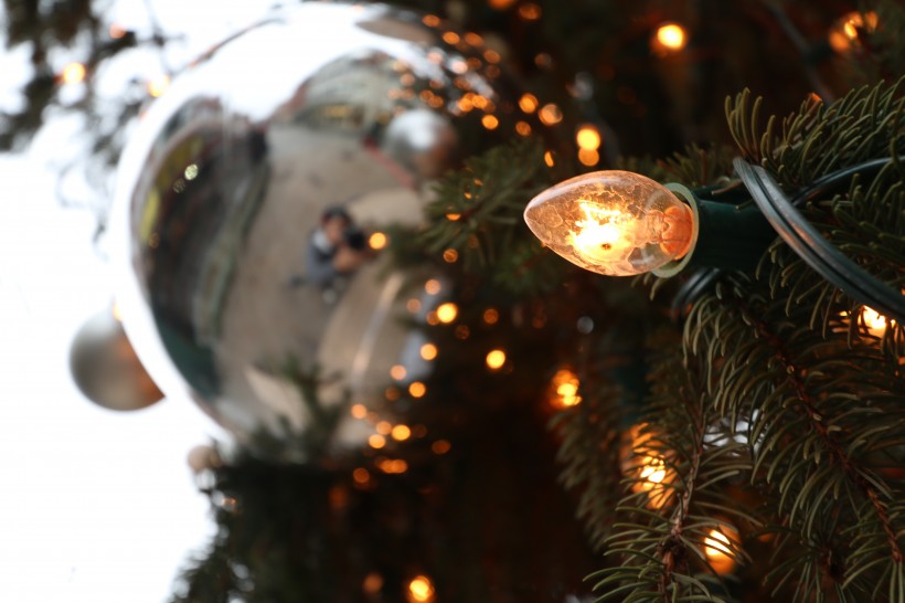 装饰精美的圣诞树图片大全