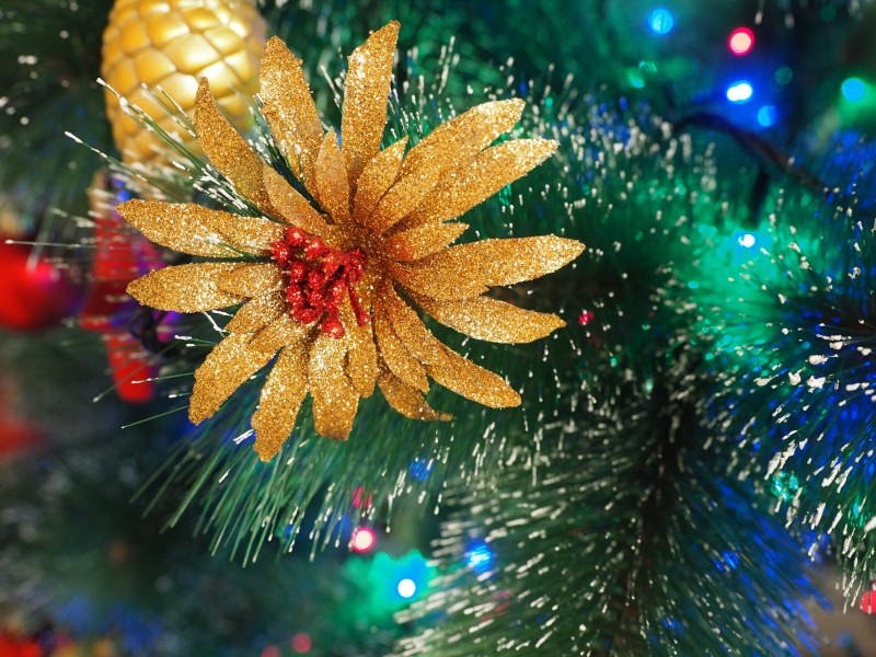 装饰精美的圣诞树图片大全