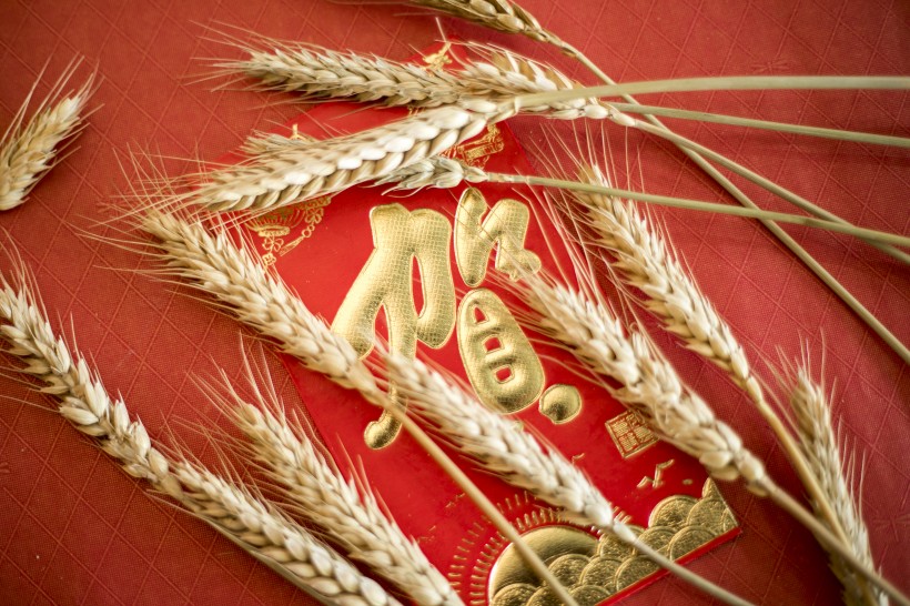 喜气洋洋的新年红包图片