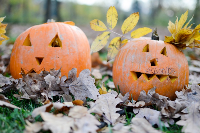 万圣节南瓜灯高清图片大全