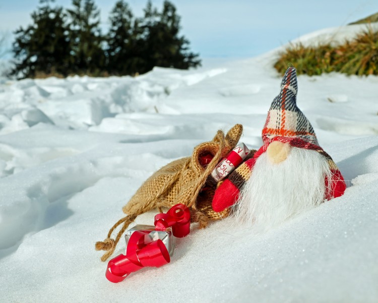 可爱的圣诞玩偶装饰图片大全
