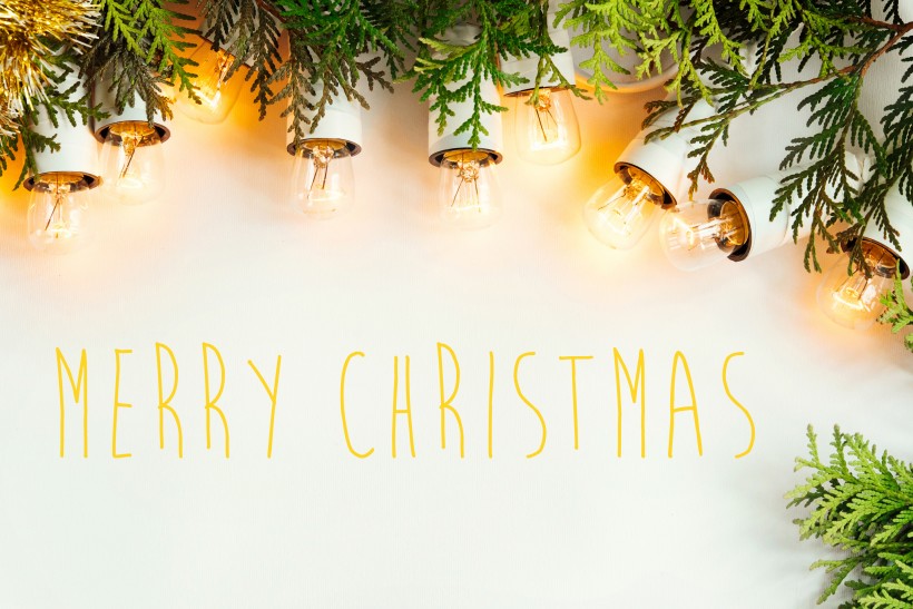 圣诞装扮物图片