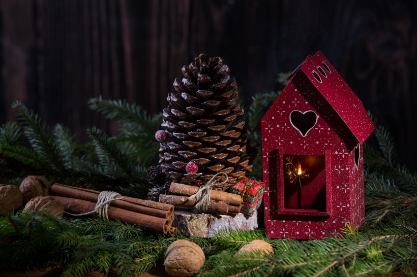 圣诞装扮物图片