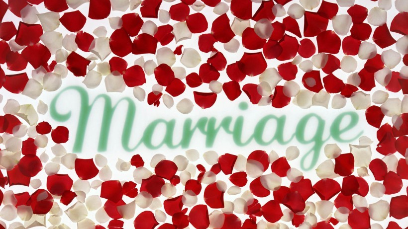 喜庆婚礼图片大全