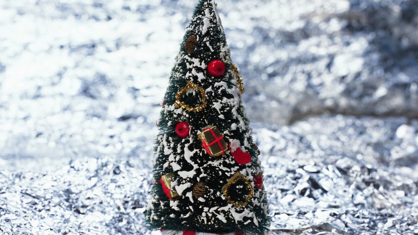 璀璨圣诞树图片大全