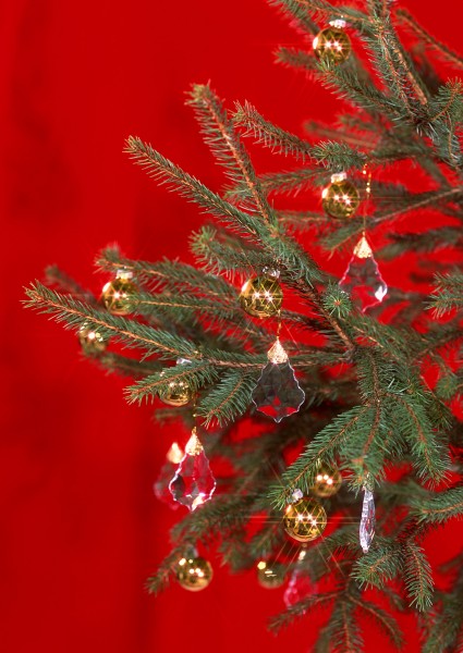 璀璨圣诞树图片