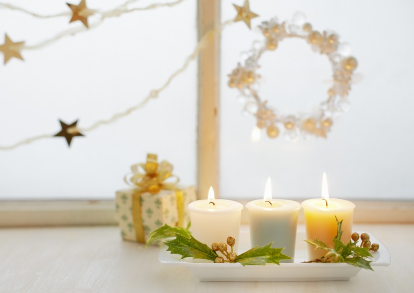 冬天花朵素材图片