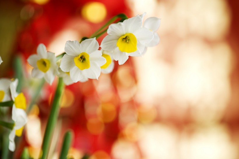 新年气氛设计素材图片