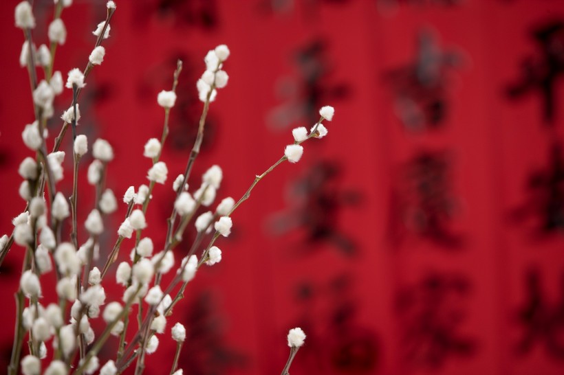 福字，对联图片大全