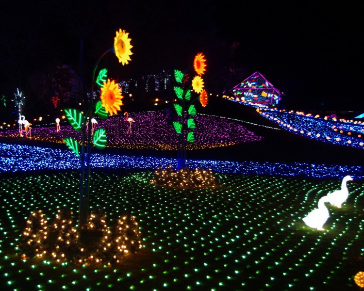 圣诞之夜图片大全