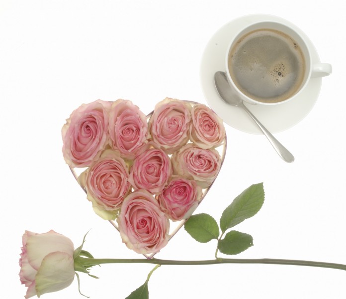 情人节物语图片