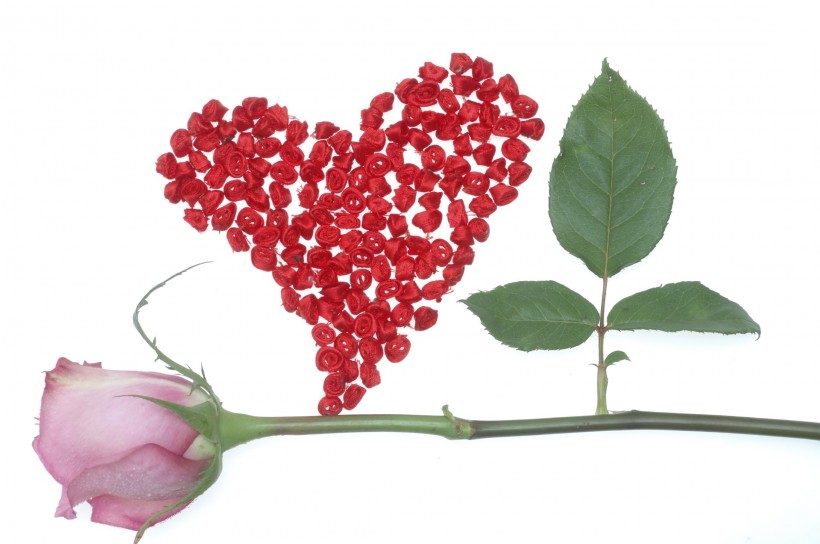 情人节物语图片