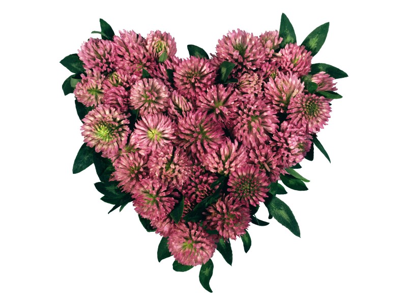 情人节心形花环图片