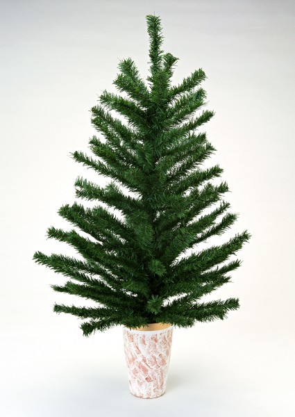 圣诞节图片大全