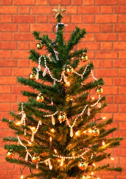 圣诞节图片大全