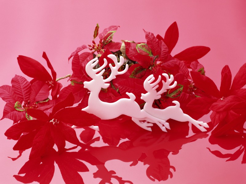 圣诞节装饰图片大全