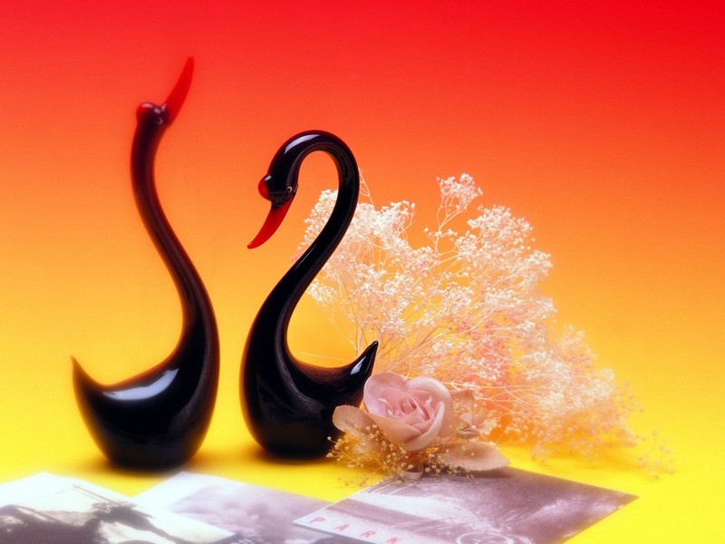 情人节图片大全