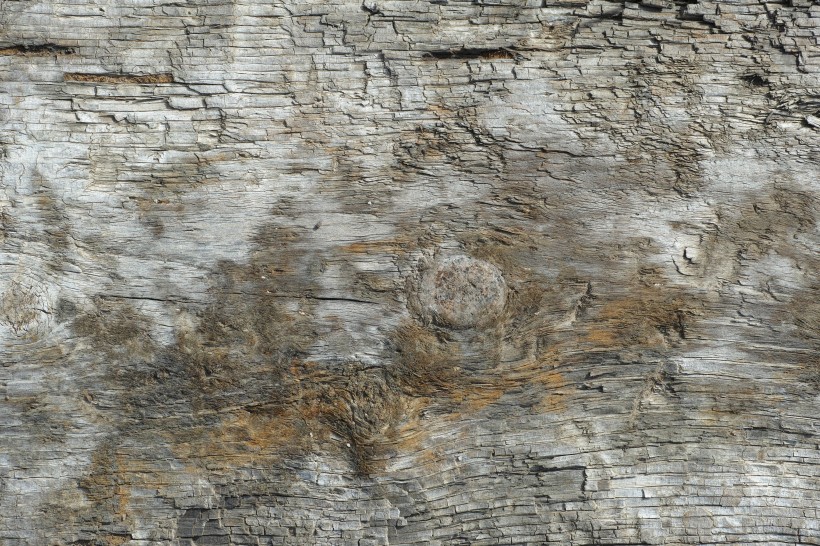 破旧的木头背景素材图片