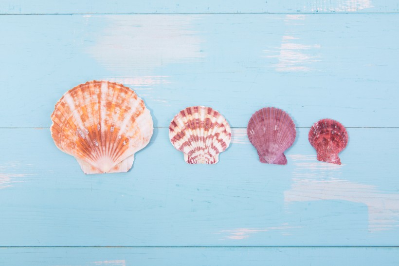 夏日清凉背景图片