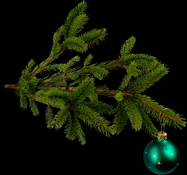 圣诞装饰图案png透明背景素材图片大全