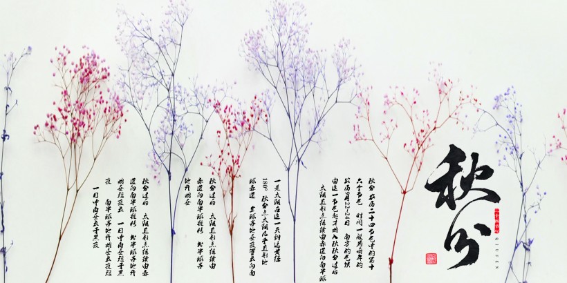 二十四节气之秋分设计素材图片