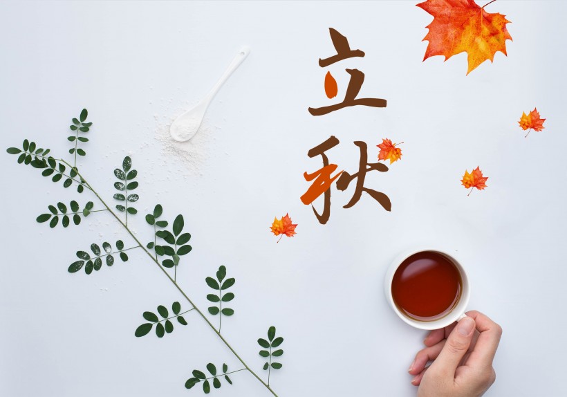 二十四节气之立秋设计素材图片大全