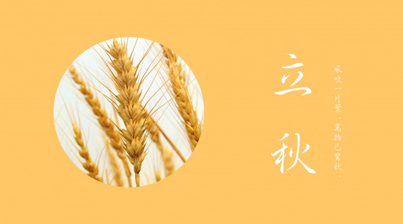 二十四节气之立秋设计素材图片大全
