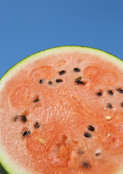 夏日清新背景素材啤酒西瓜风车向日葵图片