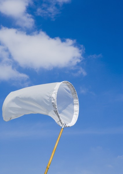 夏日清新背景素材啤酒西瓜风车向日葵图片