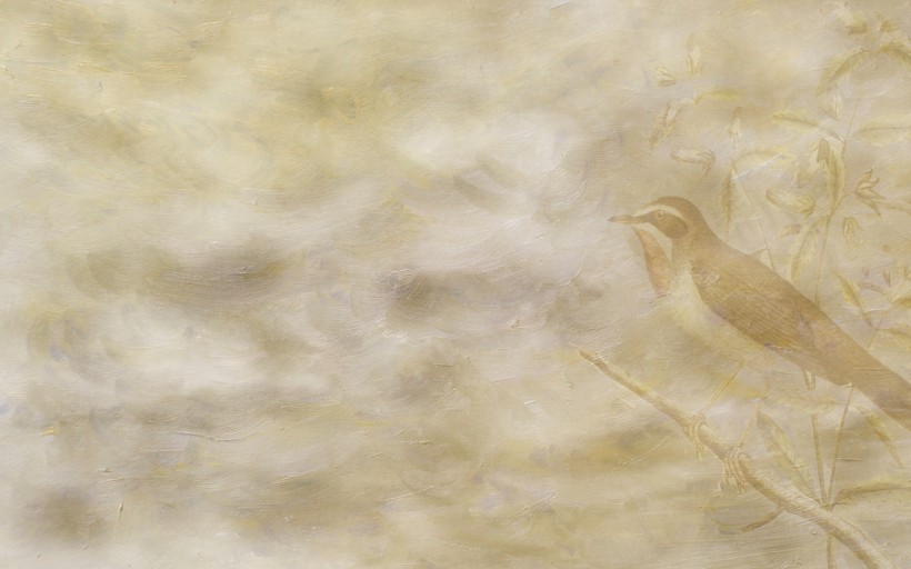 花卉彩绘背景素材图片