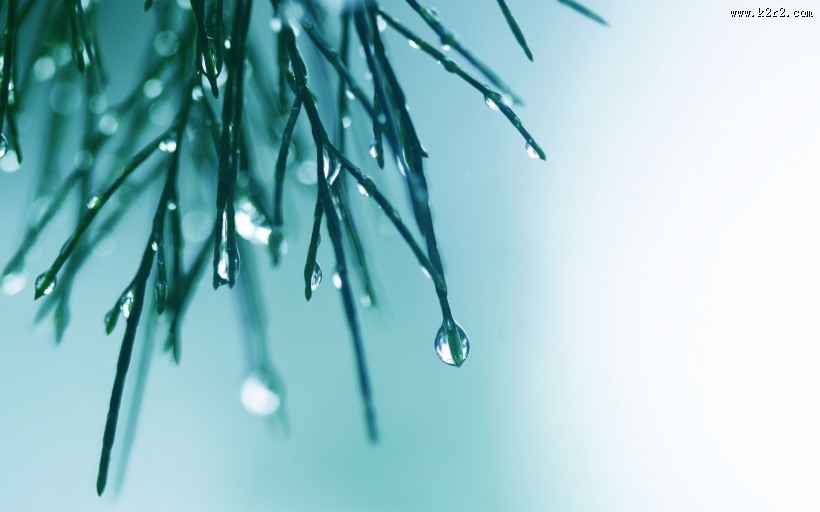 晶莹的水滴设计素材图片