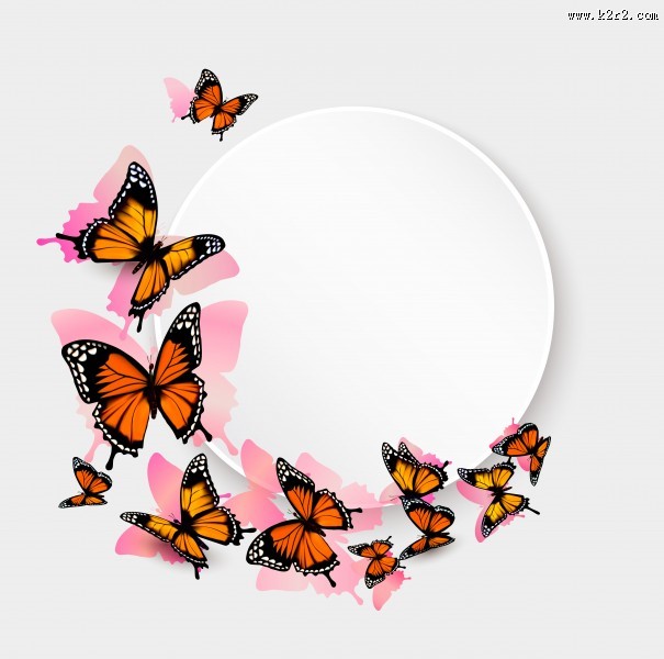 多彩蝴蝶背景图片