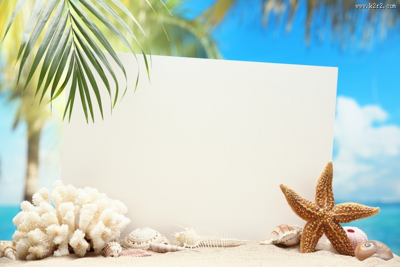 唯美海滩物品图片