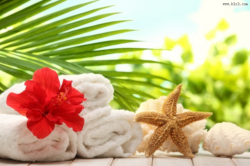 唯美海滩物品图片