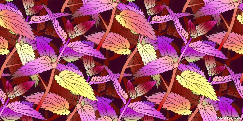 叶子图案设计图片