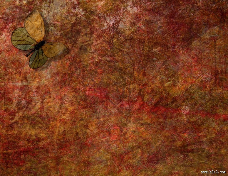 蝴蝶图案背景图片大全