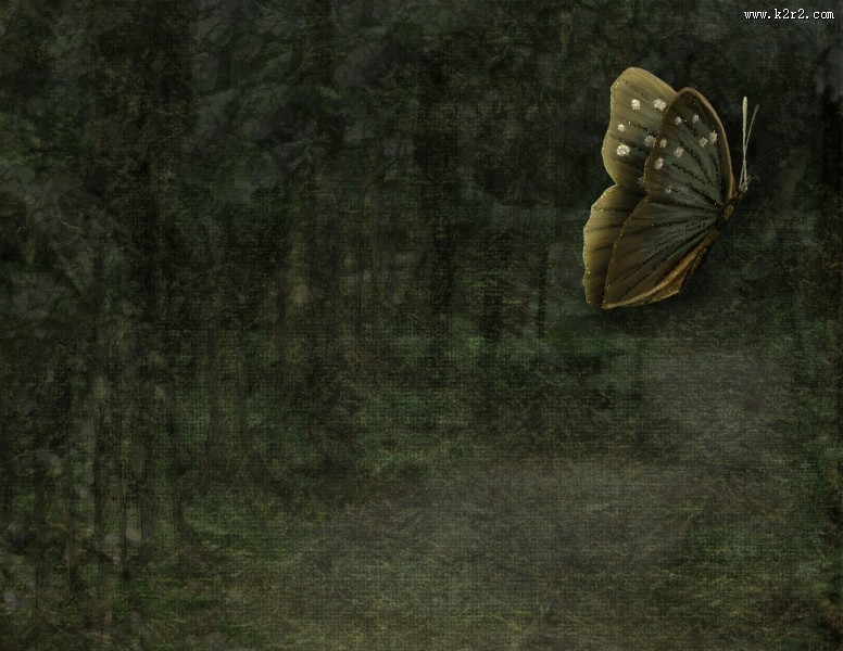 蝴蝶图案背景图片大全