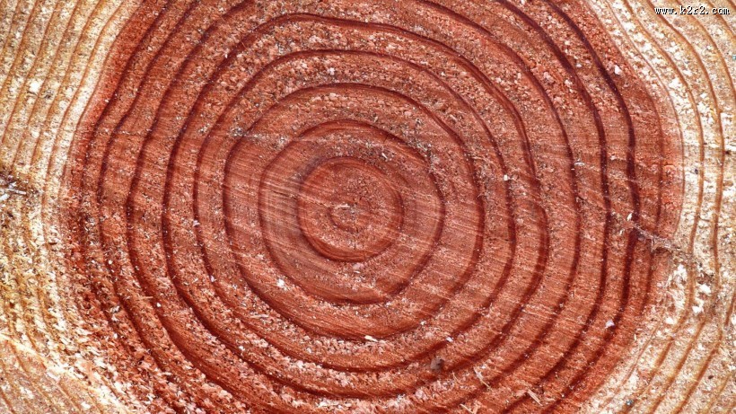 木质底纹背景图片