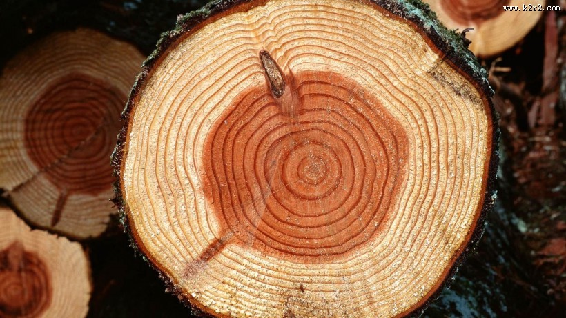 木质底纹背景图片