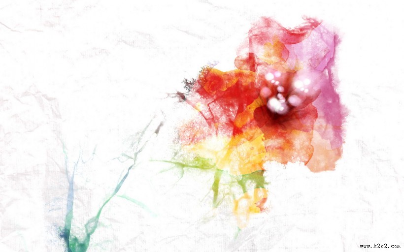 漂亮花朵信纸图片大全