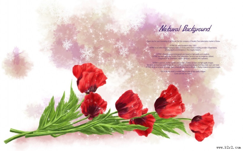 漂亮花朵信纸图片大全