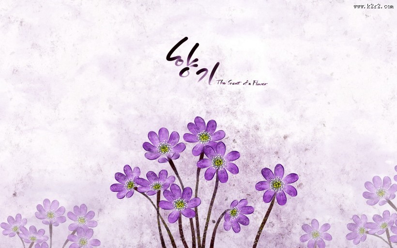 浪漫简约花朵信纸图片