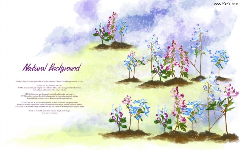 浪漫简约花朵信纸图片