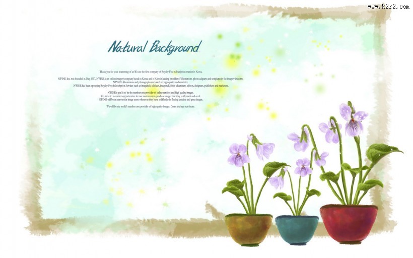 浪漫简约花朵信纸图片